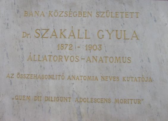 A kép egy klikkentéssel nagyobb méretben megnyitható.