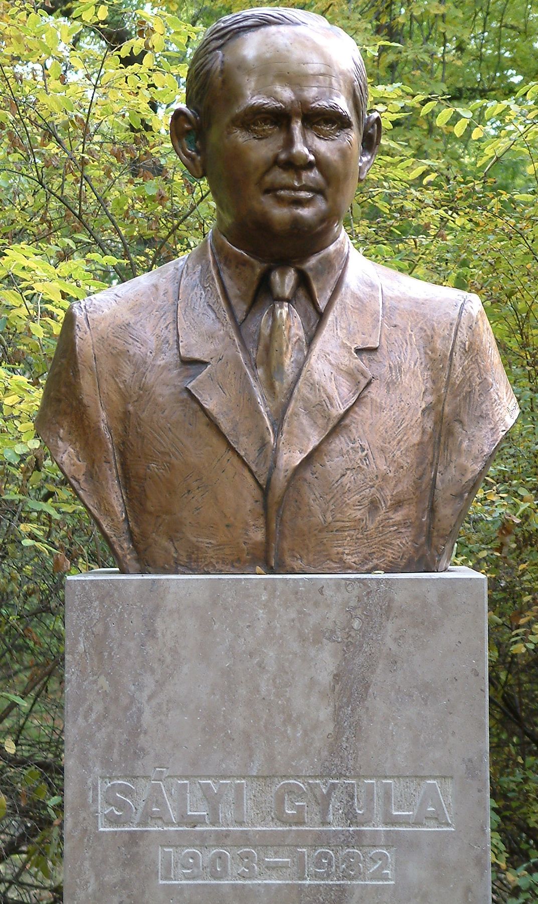 A kép egy klikkentéssel nagyobb méretben megnyitható.