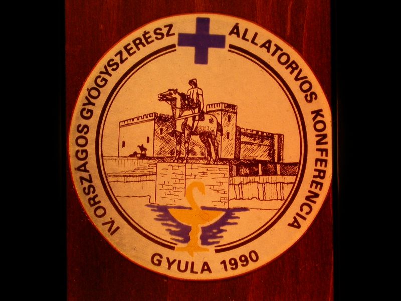 A kp egy klikkentssel nagyobb mretben megnyithat.