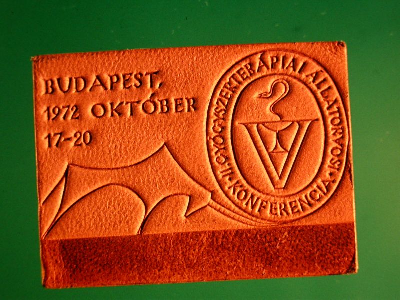A kp egy klikkentssel nagyobb mretben megnyithat.