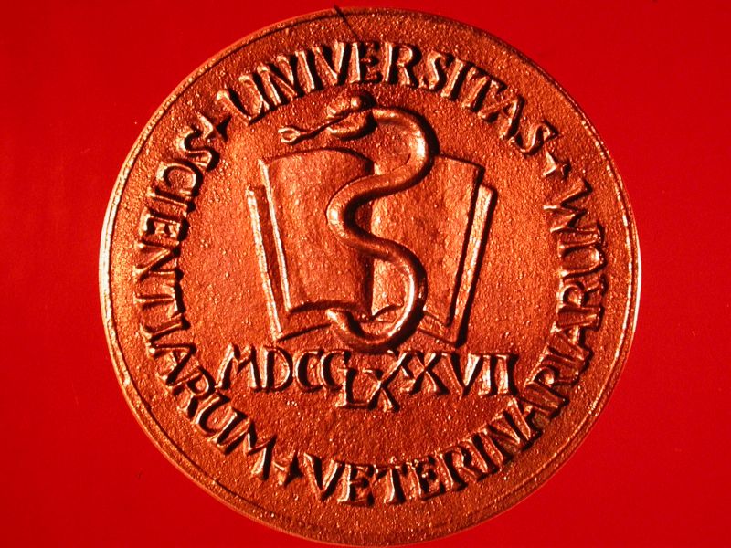 A kp egy klikkentssel nagyobb mretben megnyithat.