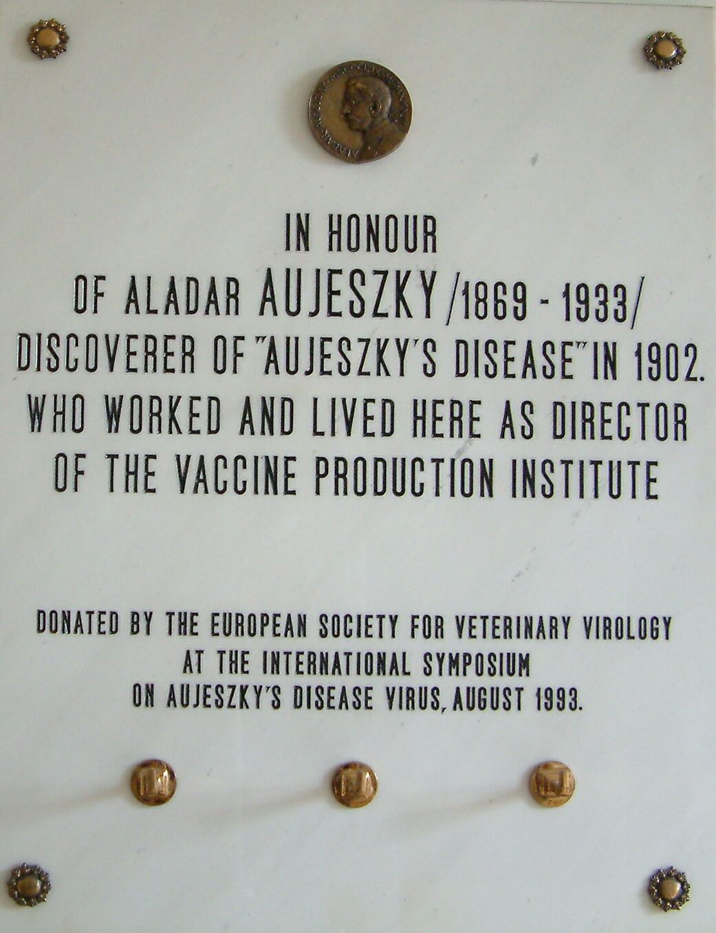 A k�p egy klikkent�ssel nagyobb m�retben megnyithat�.