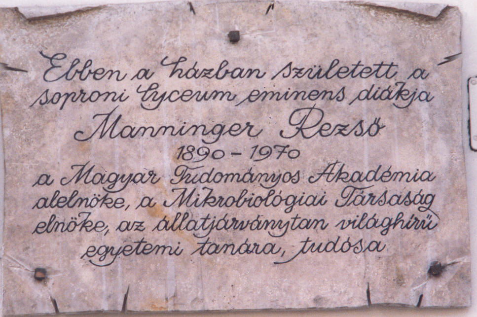 A k�p egy klikkent�ssel nagyobb m�retben megnyithat�.