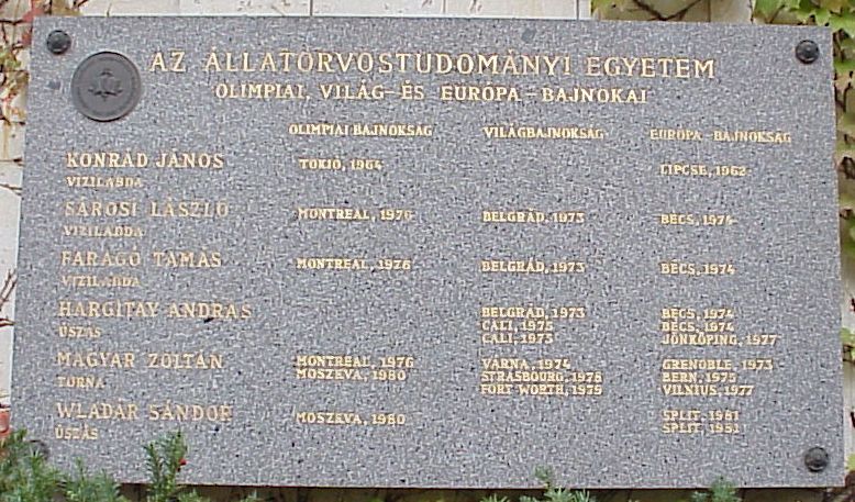 A k�p egy klikkent�ssel nagyobb m�retben megnyithat�.