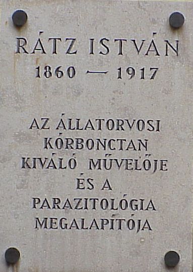 A k�p egy klikkent�ssel nagyobb m�retben megnyithat�.