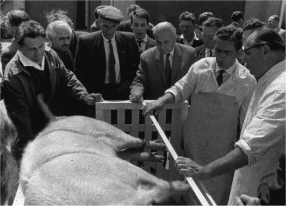 A k�p egy klikkent�ssel nagyobb m�retben megnyithat�.