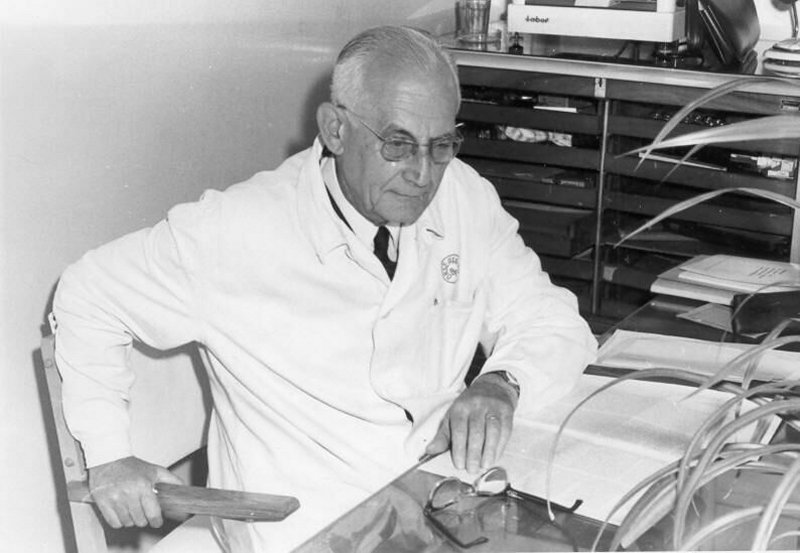 A k�p egy klikkent�ssel nagyobb m�retben megnyithat�.