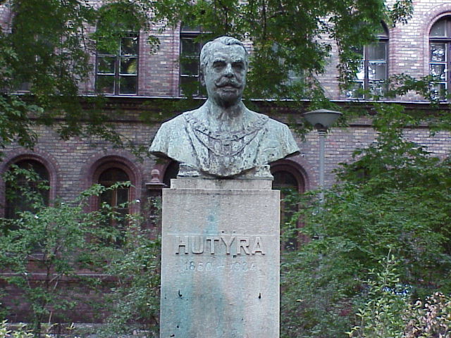 Foto: dr. Ga�l Tibor