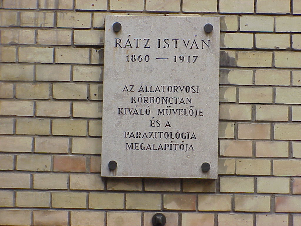 Foto: dr. Ga�l Tibor